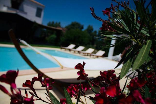 Villa Silvia Apartment Olmedo Exteriér fotografie