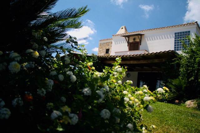 Villa Silvia Apartment Olmedo Exteriér fotografie